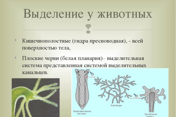 Ошибка на кракене