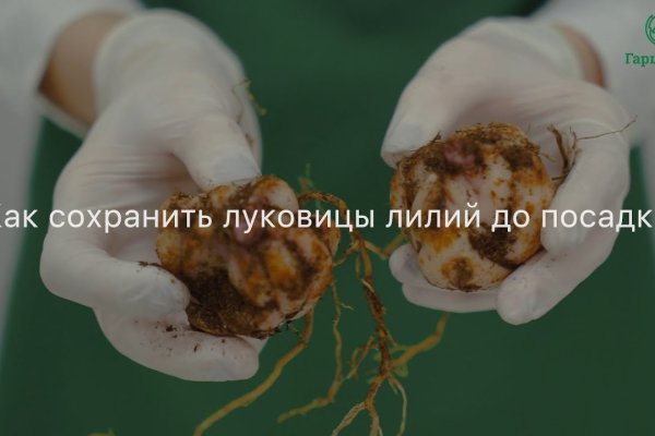 Кракен сайт kraken2