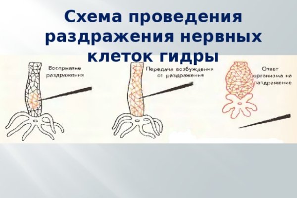 Kraken 23at